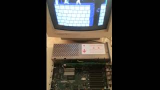 Prince of Persia running on 15 MHz Zip GSX Apple IIgs