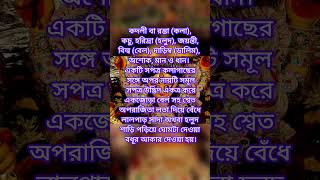 কলা বউ মানে কি?নবপত্রিকাতে কি কি গাছ থাকে?KolaBou Nabapatrika #mythology #motivation