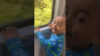 Bunny enjoying train 🚂 #ytshorts