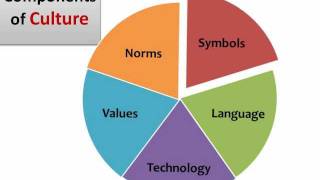 Components of Culture.wmv