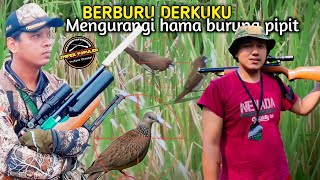 Berburu burung tekukur dan burung pipit