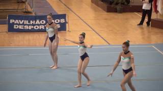 Acrobatic Gymnastics AGN WG Jun B ARCA