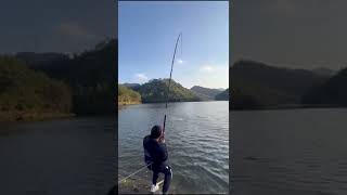 I caught the big fish🐟 Carp fishing🎣 Best fishing video #shorts #fishing 1