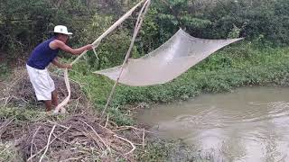 Latest Manipuri Fishing