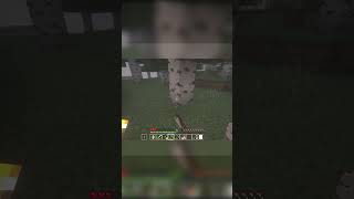 WHAT IS THAT IN MY MINECRAFT WORLD