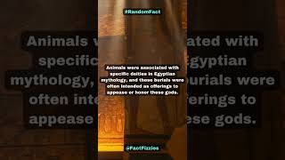 Ancient Egypt Unearthed: Ritualistic Animal Burials  #history #fact #egypt #pharaoh #shorts