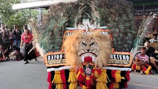 Hebat Banget..!! Atraksi Gulung Barongan REOG TERBESAR PSHT REJUNO NGAWI Gegerkan Ponorogo