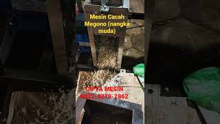 MESIN CACAH MEGONO/NANGKA MUDA,GORI,CECEK#shorts #mesinmakanan #pekalongan #mesin #nangkamuda