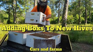 honey supers for new hives #newbeekeeper #beekeeper #beekeeping #bees #honey #checkinghives #hives