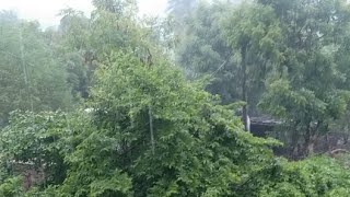 ⚡🌧️Rain Sound On Window with Thunder Heavy Rain for Sleep