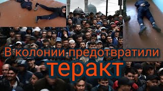 В колонии предотвратили теракта