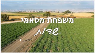 משפחת מסאמי  - שדות