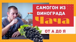 Делаю Ароматный Самогон из винограда (ЧАЧА) от А до Я.+ секретный ингредиент