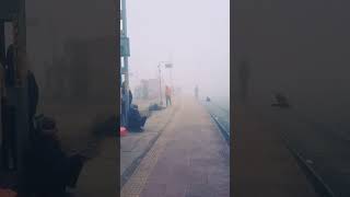 Beautiful Foggy Weather Train Travel Story Reel