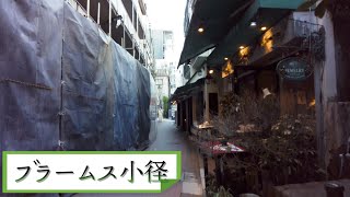 都会に突如現れるおしゃれ街道【ブラームス小径】