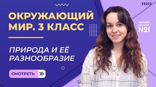 Природа и её разнообразие. Видеоурок 1.Окружающий мир 3 класс