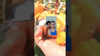 Fruits #memes #fyp #asmr #trending #viral #shorts