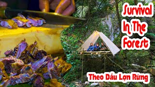 Survival In The Forest - Lần theo dấu vết thú rừng lớn ✧ Suối Bản Tv