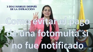 ¿Cómo evitar el pago de un  fotocomparendo fotomulta si no fue notificado?