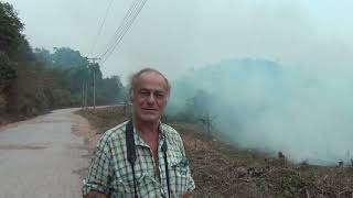 Laos  Luang Namtha  Slash & burn