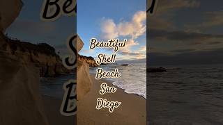 Beautiful Shell Beach ⛱️ San Diego ♥️ #shortsfeed #shorts #relaxingasmr #asmrbeachday #beachsounds