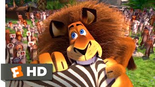 Madagascar (2005) - Alex Goes Crazy Scene (7/10) | Movieclips