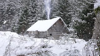 cold winter night in an abandoned hunters log cabin