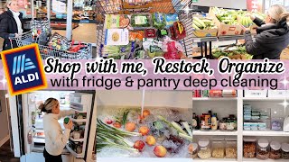 *NEW* 2024 ALDI SHOP WITH ME RESTOCK & PREP PANTRY & FRIDGE DEEP CLEAN AND ORGANIZE TIFFANI BEASTON