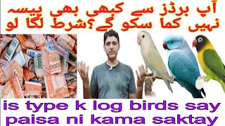 is type k log birds say kabi earn/kama ni saktay?