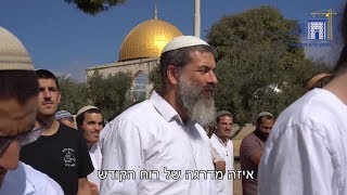 עולים להר הבית לקראת ראש השנה עם גדולי הרבנים