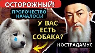 Шокирует: что предсказал Нострадамус тем, у кого дома есть собака | Пророчества