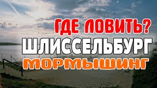 МОРМЫШИНГ: ГАЙД по Шлиссельбургу. ГДЕ ЛОВИТЬ?   #мормышинг #стритфишинг #streetfishing #nanojig