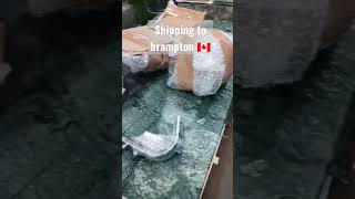 | Parts shipping to Brampton | Grewal custom motor bikes ludhiana | Karan aujla POV | Modification