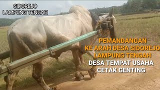 Pemandangan desa tempat usaha cetak genteng