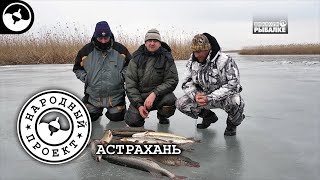 Щука на поставушки. Рыбалка в Астрахани | Народный проект ©