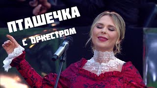 ПТАШЕЧКА — Пелагея с оркестром