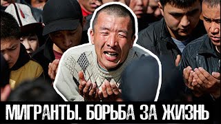 Что происходит в закрытых районах Мигрантов / Голод и Первые грабежи / Лядов с места событий