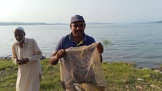 fishing 🎣 hunting in mangla dam صيد الأسماك في سد مانجلا  منگلا ڈیم میں ماہی گیری