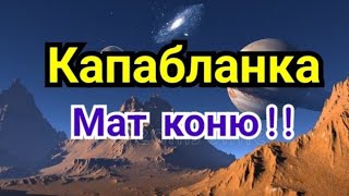 4) Лекция.  Капабланка               Мат коню!!