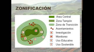 Estrategias preventivas manejo conflicto