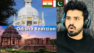 Pakistani React on Odisha Tourism Beauty | Bhubaneswar odisha | Odia Videos | Zafar Reaction