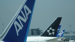 ANA 777, 767, 787 at Haneda airport T2