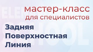 Осанка, зрение и лёгкость вертикализации