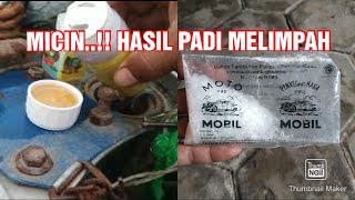 Menyemprot padi dengan campuran Micin