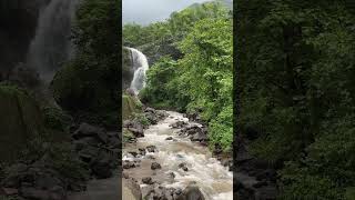 On the way to Raigad #scene #nature #waterfall #raigad #mahabaleshwar