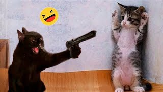 New Funny Cats and Dogs Videos 😘 Best Funny Videos compilation Of The Month 🐕