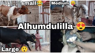 Allhumdulilla chote se bara tak ka janwer leliya 😍