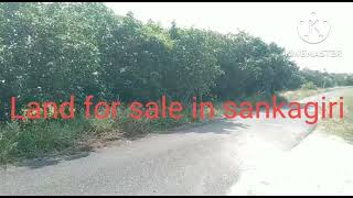 #landforsale in #sankagiri  #farmland whatsapp 8072660564