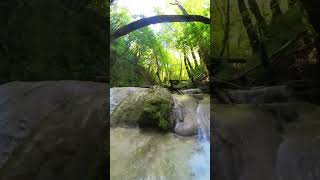 Cascade de Clairefontaine : Un Havre de Sérénité au Cœur de la Forêt, Accessible Toute l'Année