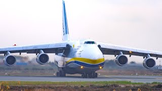 INCREDIBLE ANTONOV An124 LANDING | Larnaca Airport Plane Spotting